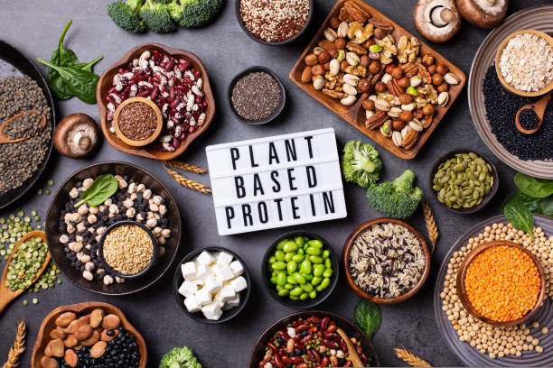 Protien source for muscle gain